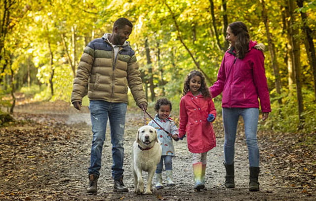 A family walking their dog through the woods