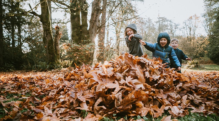Children playing in the leaves at Killerton House