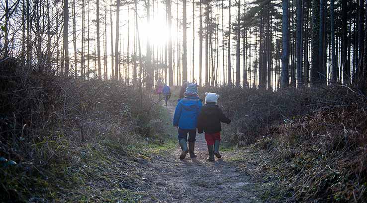 Kids walking through the woods at Pembrey Country Park
