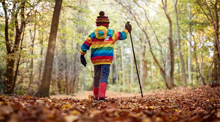 A child wearing a bobble hat and wellies walking through autumn leaves in the woods with a walking stick