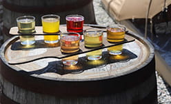 A sampler tray of beers