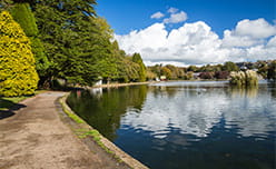 A peaceful boating lake lined with trees in Helston town, in Cornwall