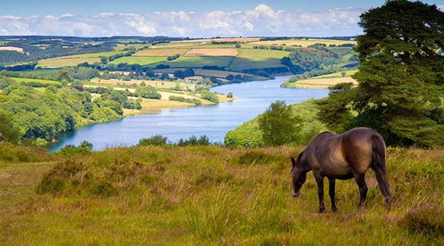 beautiful vista of Devon with a pony in the foreground