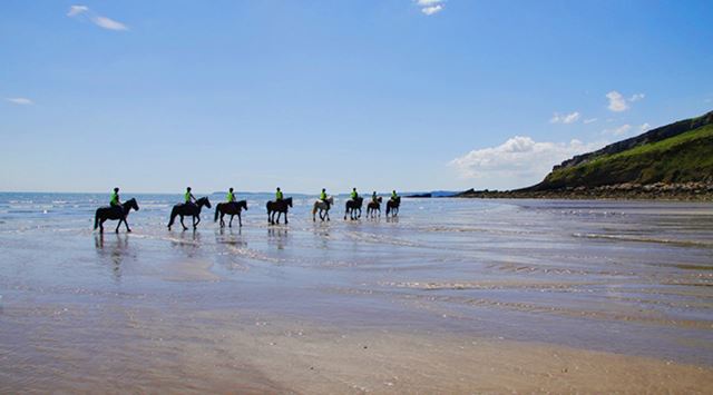 A horse riding school trekking along Pendine Sands Beach in Wales